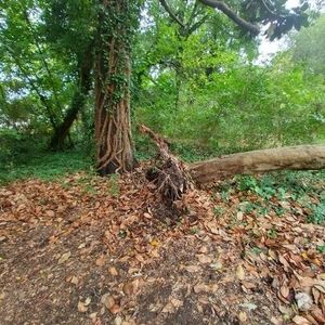 Meet your Posher, Steve